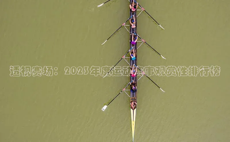 透视赛场：2023年度运动赛事观赏性排行榜